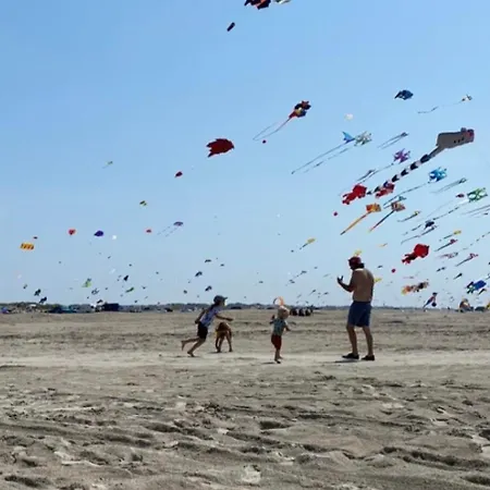 Apartmán Meerblick Cafe Reiten Spielplaetze Animation Wlan Fanø