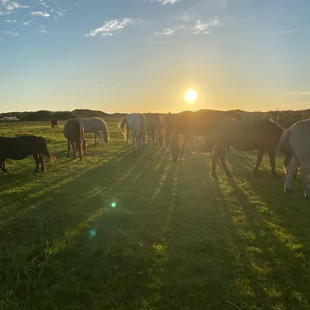 Meerblick Cafe Reiten Spielplaetze Animation Wlan
