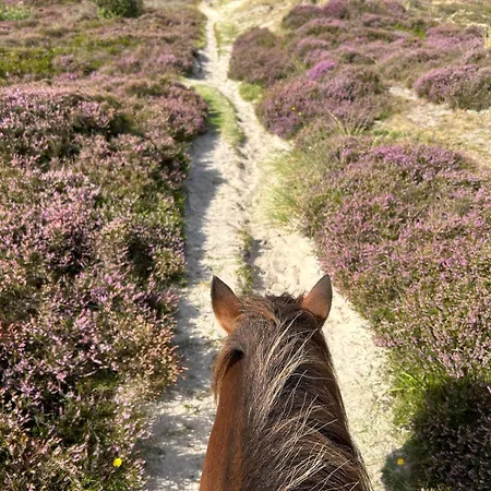 Meerblick Cafe Reiten Spielplaetze Animation Wlan Lägenhet