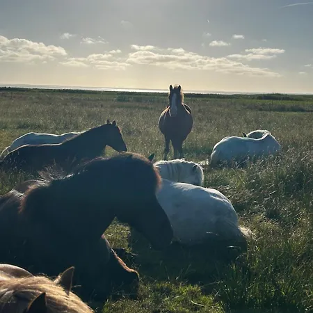 Meerblick Cafe Reiten Spielplaetze Animation Wlan