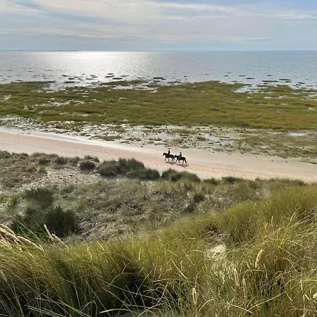 Meerblick Cafe Reiten Spielplaetze Animation Wlan Fanø