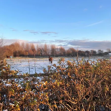 Meerblick Cafe Reiten Spielplaetze Animation Wlan *